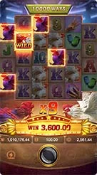 l86 · Rooster Rbl